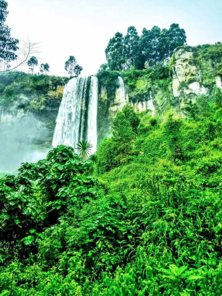 Nature trail at Sipi Falls